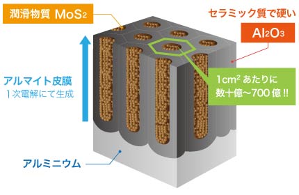 カシマコートとは